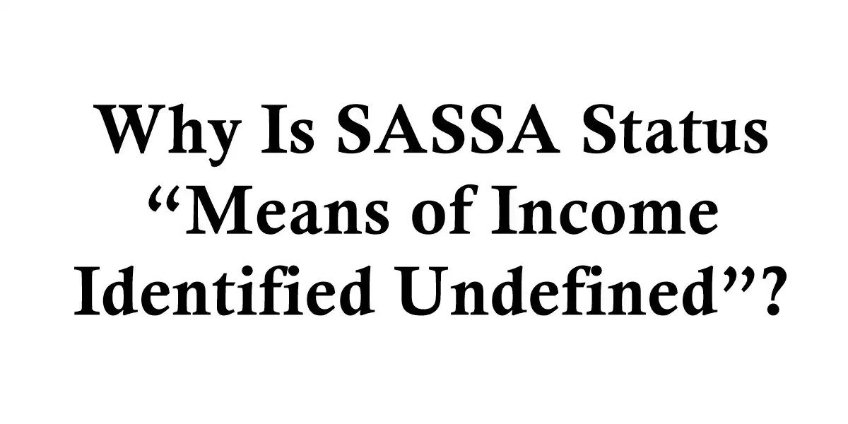 Why Is SASSA Status “Means of Income Identified Undefined”?